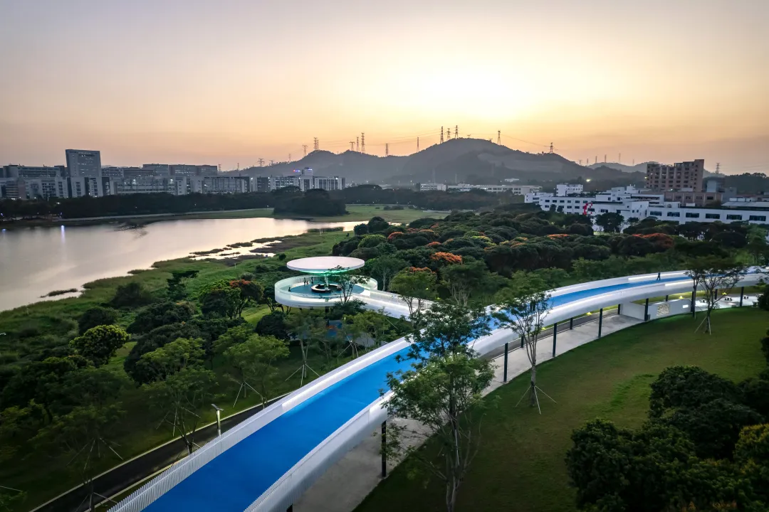 1735636994353564.jpg 1735636983305.jpg