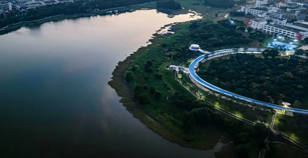 1735636999110670.jpg 1735636985316.jpg