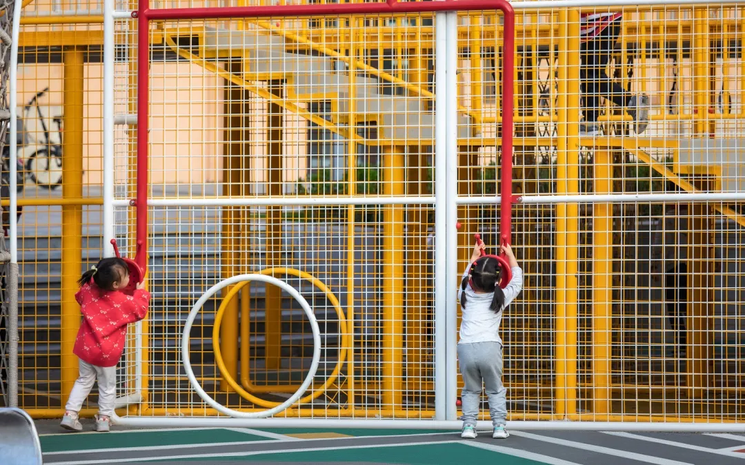 1735782822158089.jpg 1735782809596.jpg