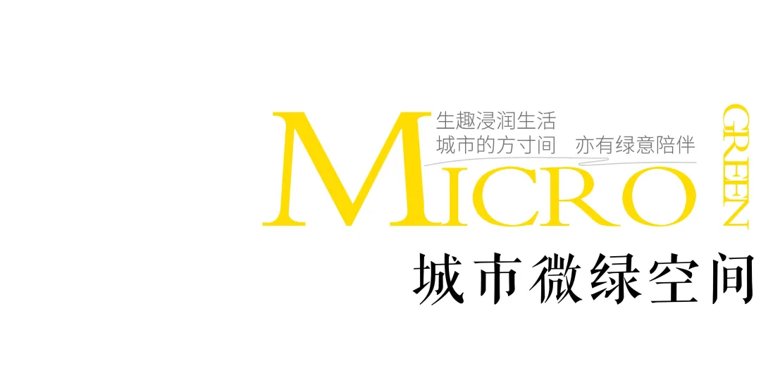 1735782846189566.jpg 1735782833041.jpg