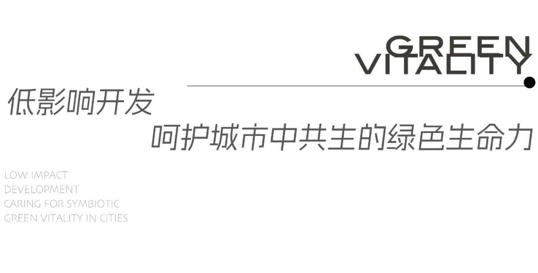 1735784166194683.jpg 1735784152362.jpg