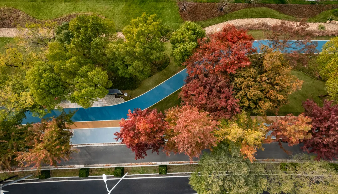 1735784194110746.jpg 1735784175196.jpg