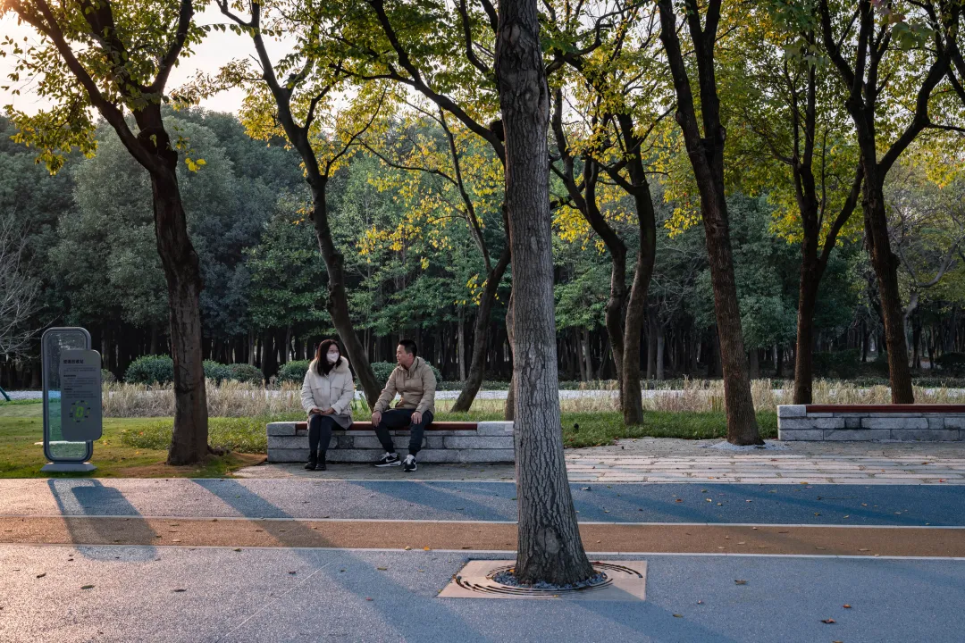 1735784217166432.jpg 1735784180390.jpg