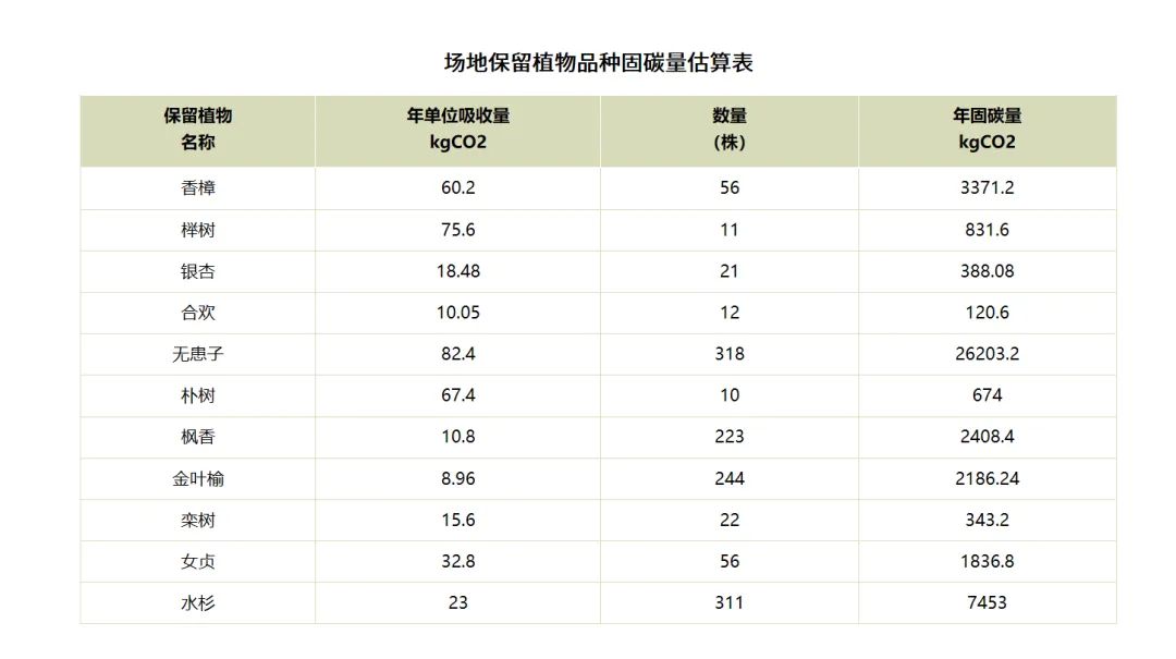 1735784227114826.jpg 1735784182387.jpg