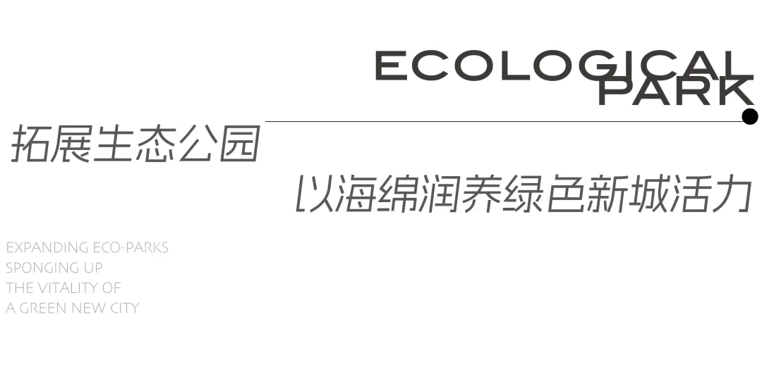 1735784255145510.jpg 1735784184616.jpg