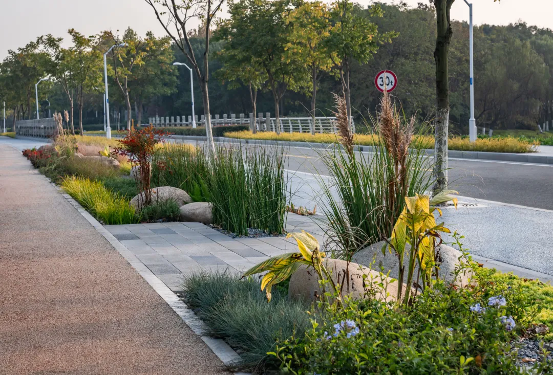 1735787137167350.jpg 1735787116014.jpg