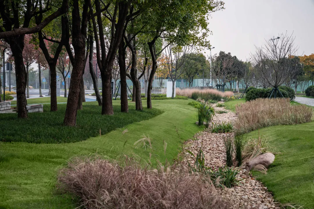 1735787159383209.jpg 1735787121882.jpg