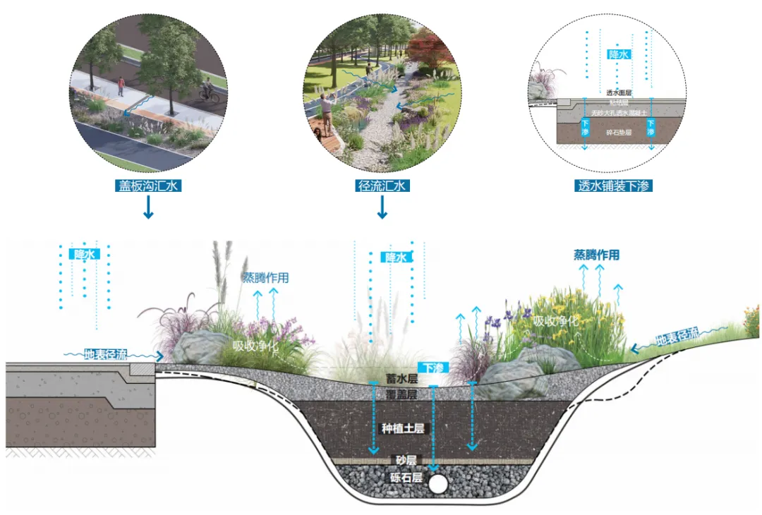 1735787190967118.jpg 1735787179835.jpg