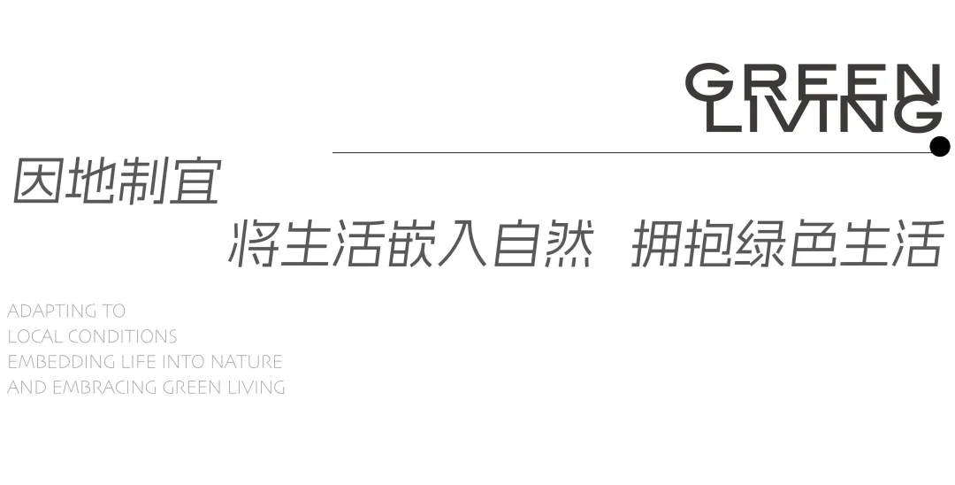 1735787199126305.jpg 1735787182097.jpg