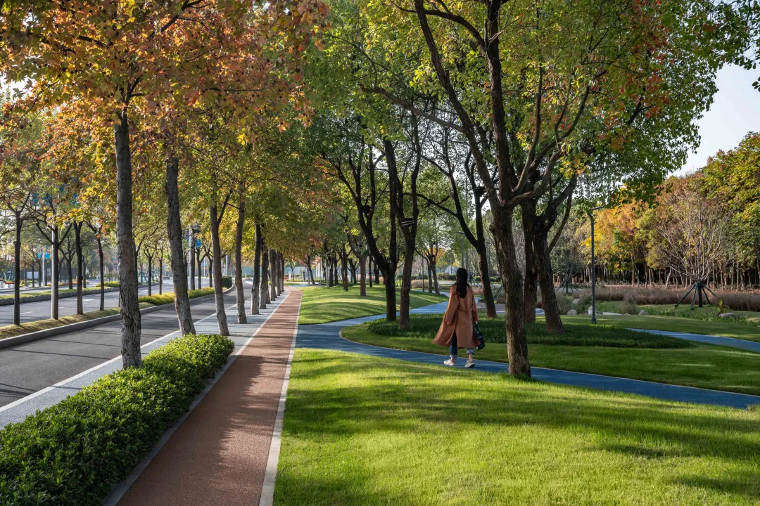 1735787243678704.jpg 1735787209750.jpg