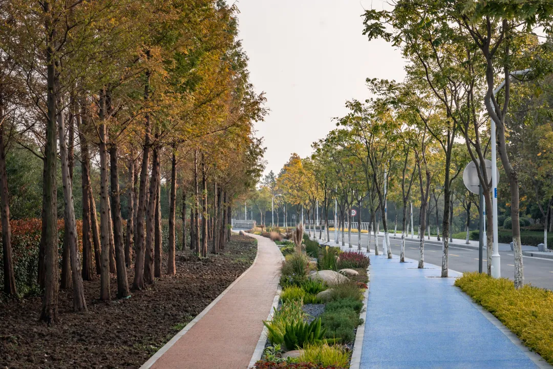 1735787257152766.jpg 1735787215903.jpg