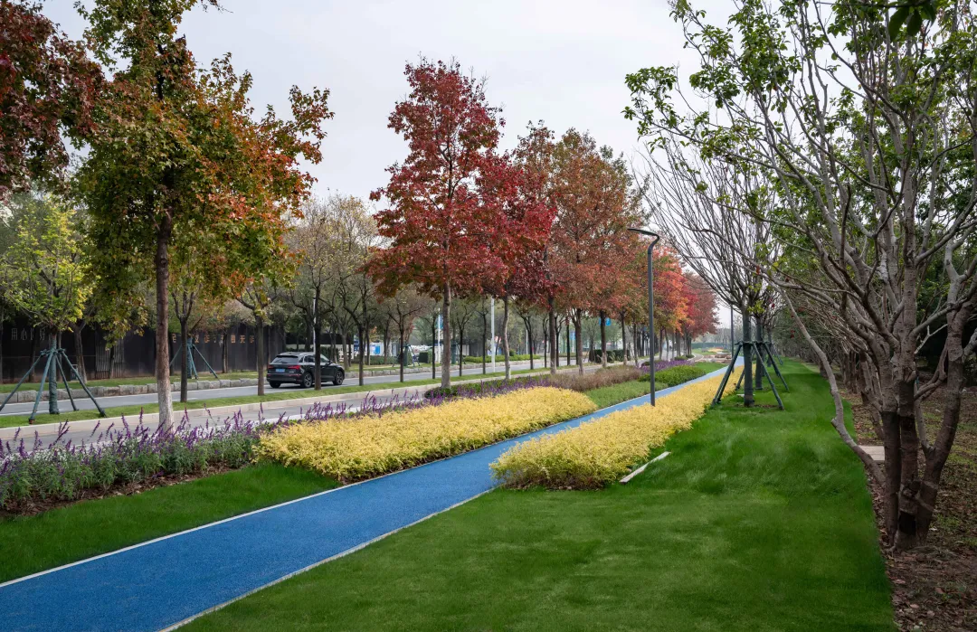 1735787269507494.jpg 1735787219791.jpg