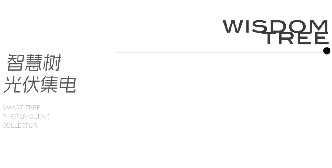 1735787314643233.jpg 1735787310131.jpg