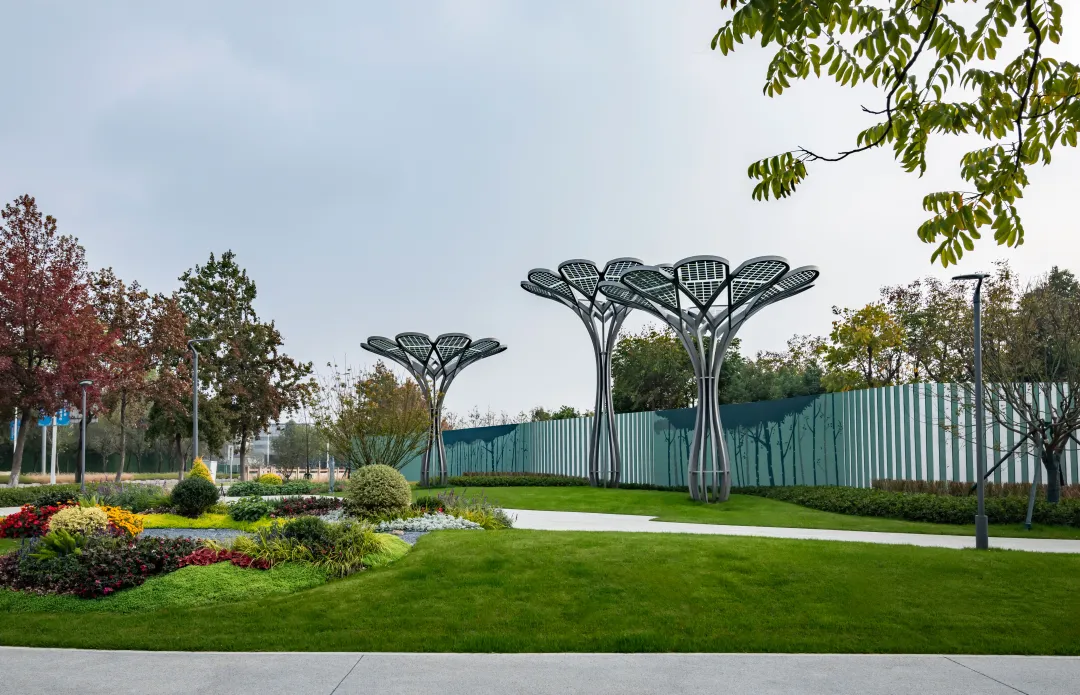 1735787335626903.jpg 1735787329583.jpg