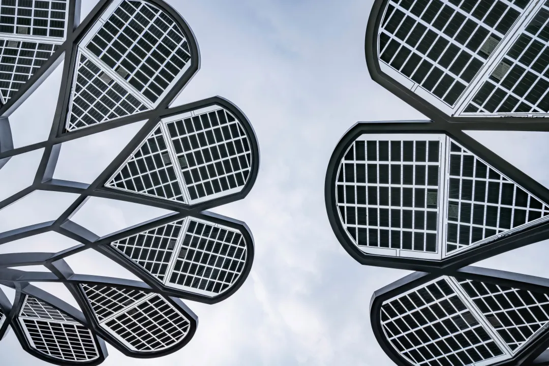 1735787339879573.jpg 1735787331277.jpg