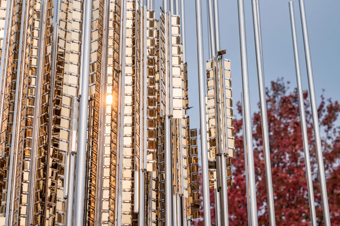 1735787370819034.jpg 1735787362684.jpg