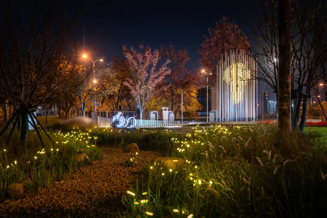 1735787389432786.jpg 1735787380962.jpg