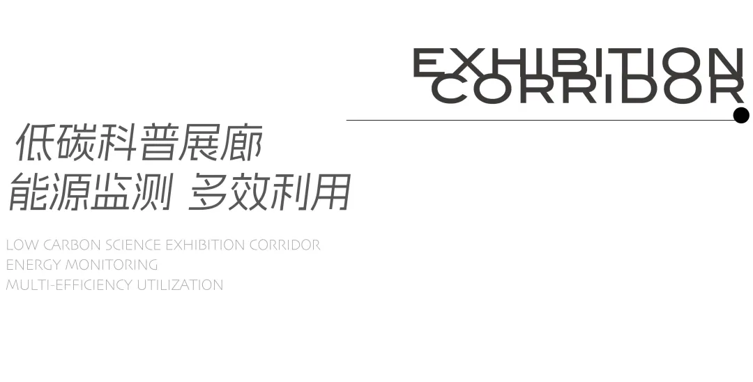 1735787401262770.jpg 1735787385945.jpg