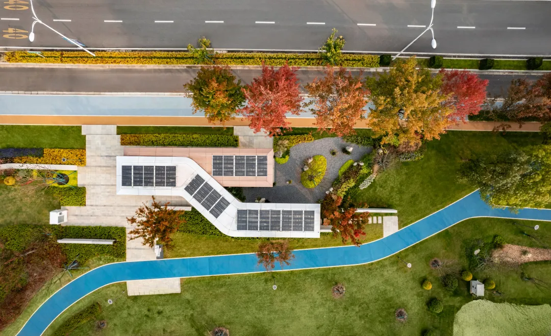 1735787426779683.jpg 1735787408845.jpg