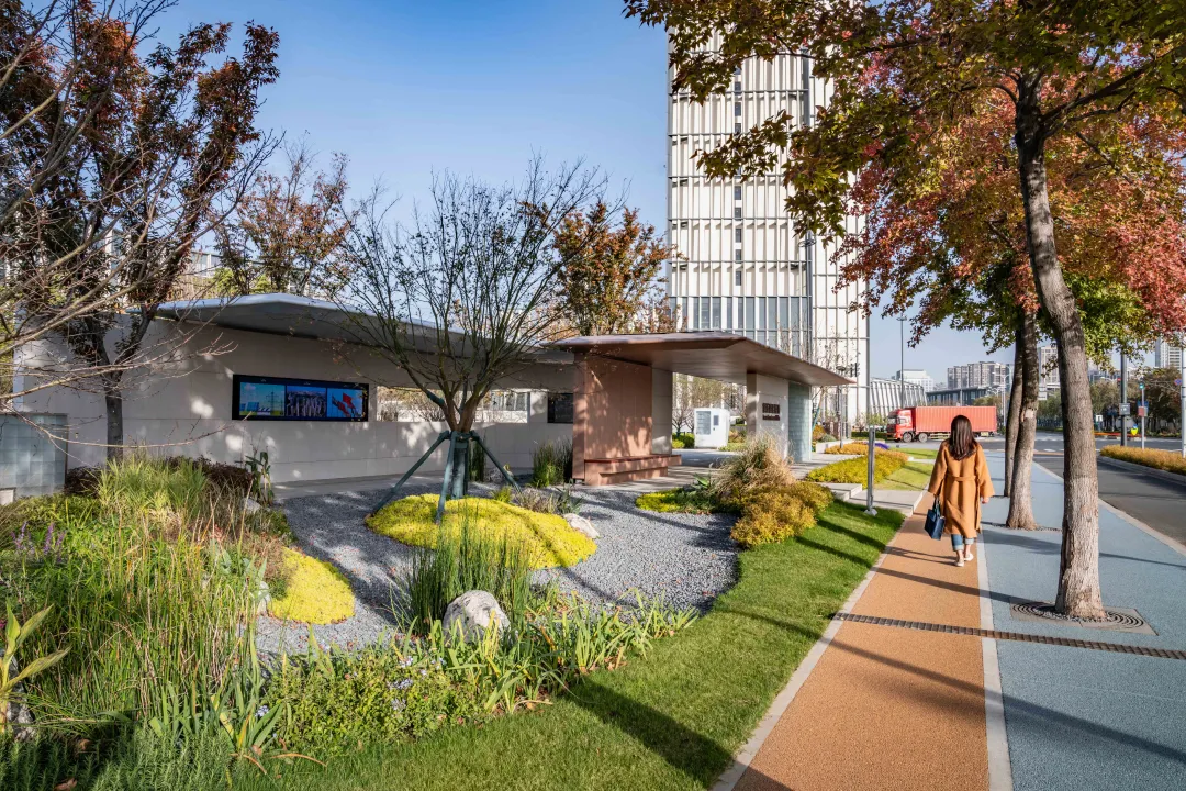 1735787449145591.jpg 1735787414603.jpg