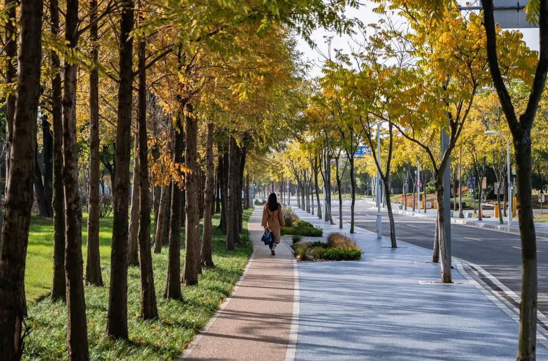 1735787550118333.jpg 1735787546567.jpg