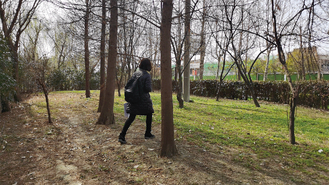 1735788927452503.jpg 1735788910994.jpg