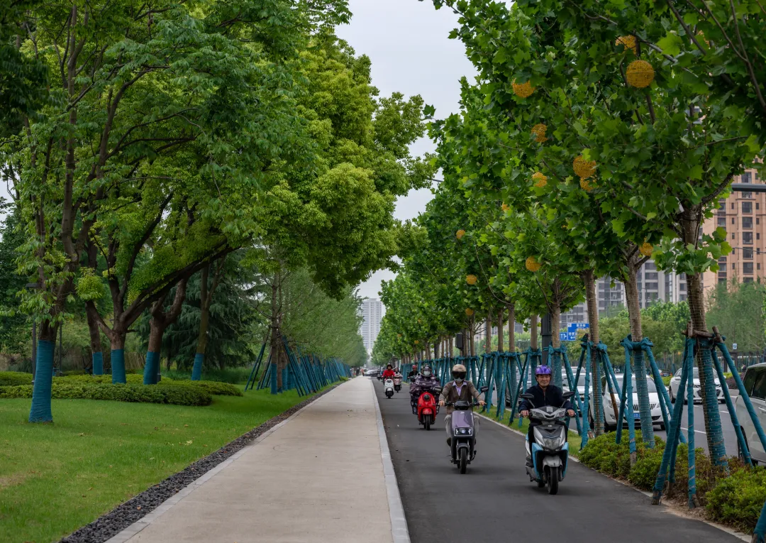 1735789125166191.jpg 1735789110908.jpg