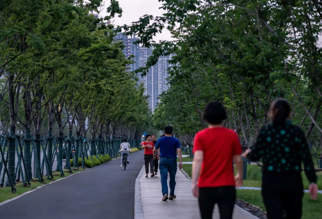 1735789129692553.jpg 1735789115292.jpg