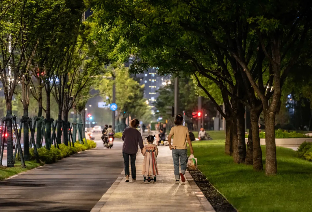 1735789132131451.jpg 1735789117156.jpg