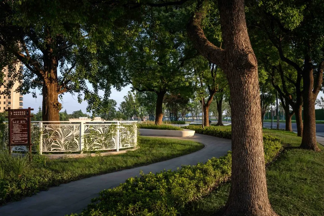 1735789196327426.jpg 1735789185421.jpg