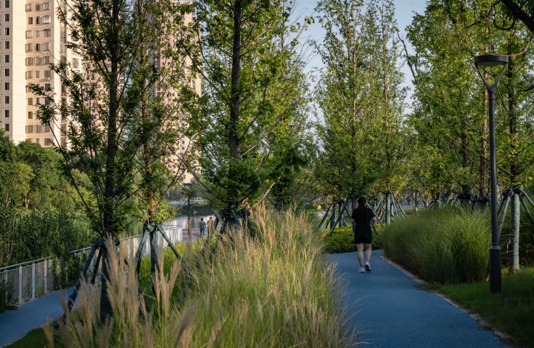 1735789200432727.jpg 1735789187265.jpg