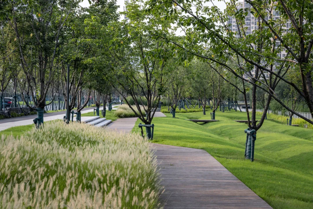 1735789203124748.jpg 1735789189326.jpg