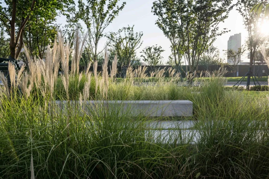 1735789207191620.jpg 1735789192440.jpg