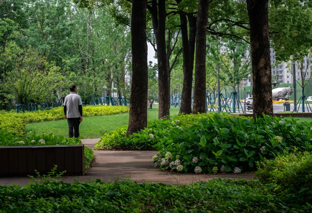 1735789260575069.jpg 1735789223285.jpg