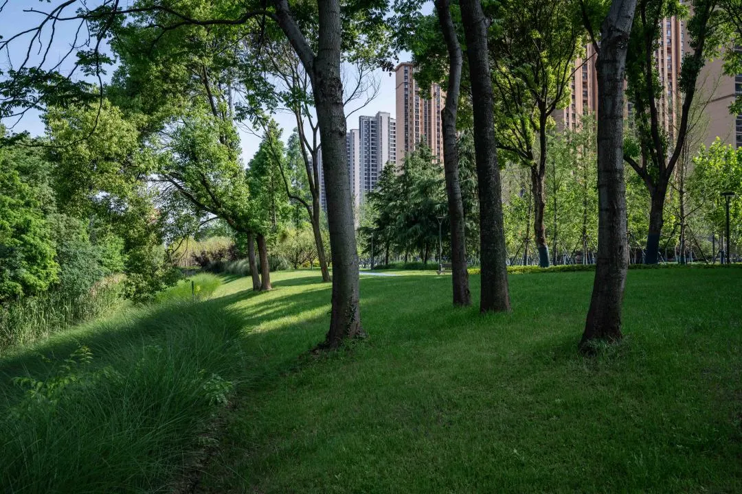 1735789264510488.jpg 1735789225387.jpg