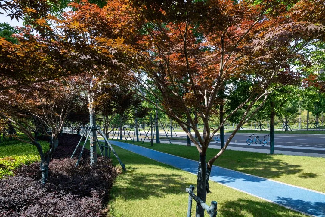 1735789285191400.jpg 1735789274601.jpg