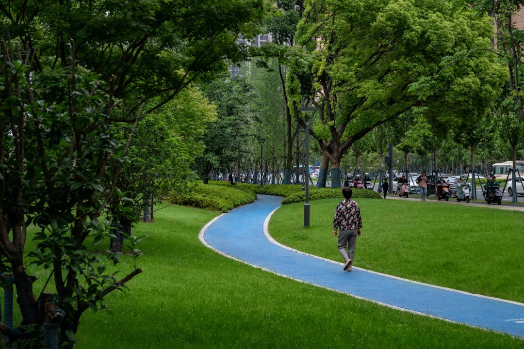 1735789305164859.jpg 1735789299210.jpg