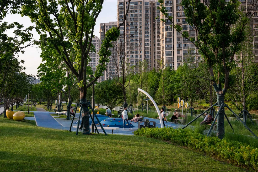 1735789341864245.jpg 1735789331876.jpg