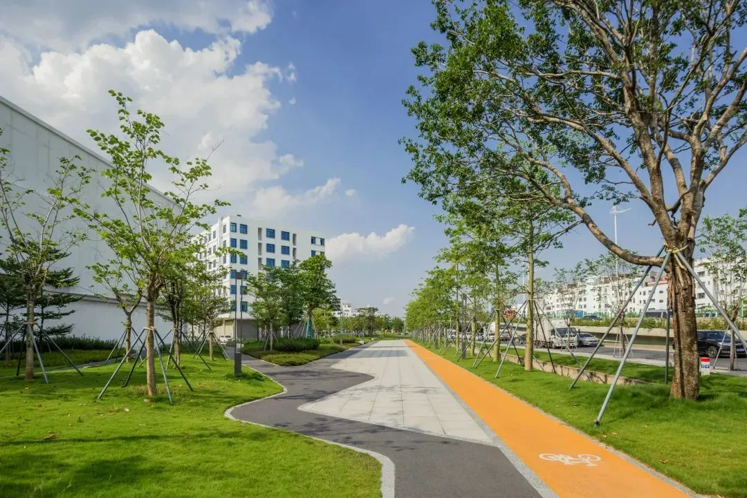 1735797747168622.jpg 1735797734668.jpg