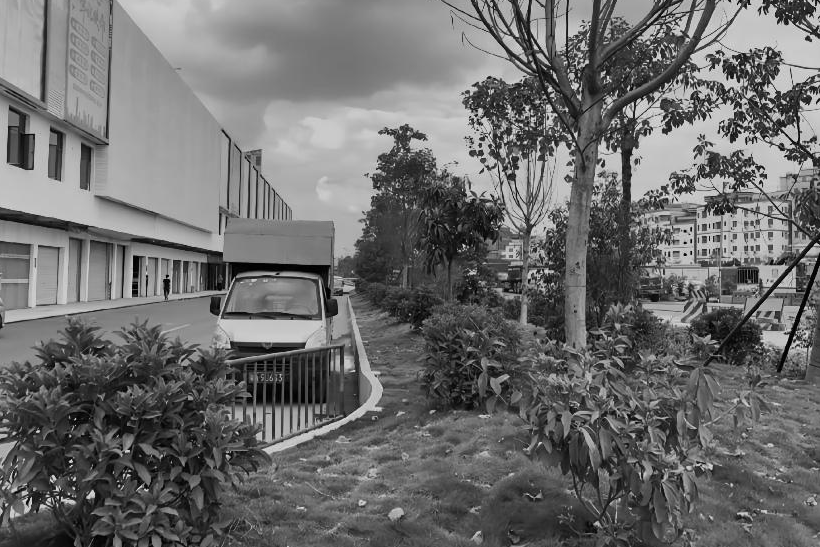 1735797849398626.jpg 1735797840889.jpg