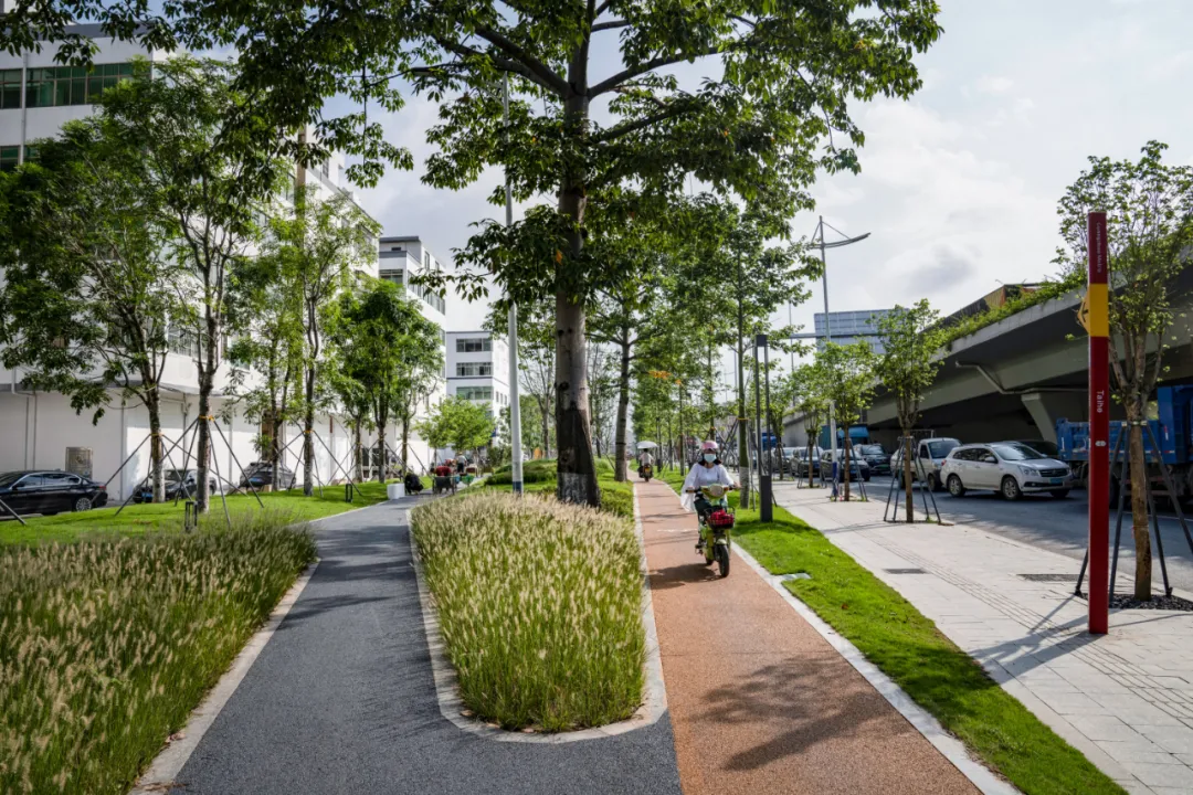 1735797893145256.jpg 1735797884794.jpg