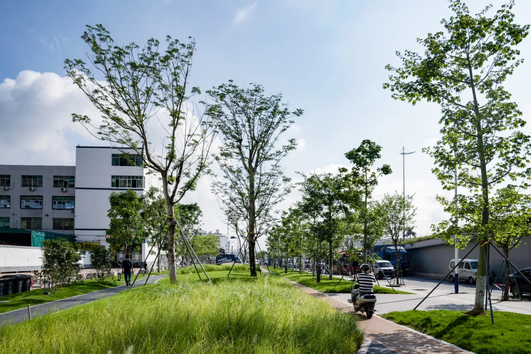 1735797925922637.jpg 1735797915696.jpg