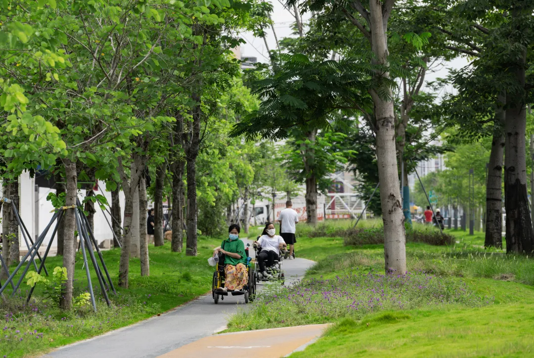 1735797956113785.jpg 1735797942428.jpg