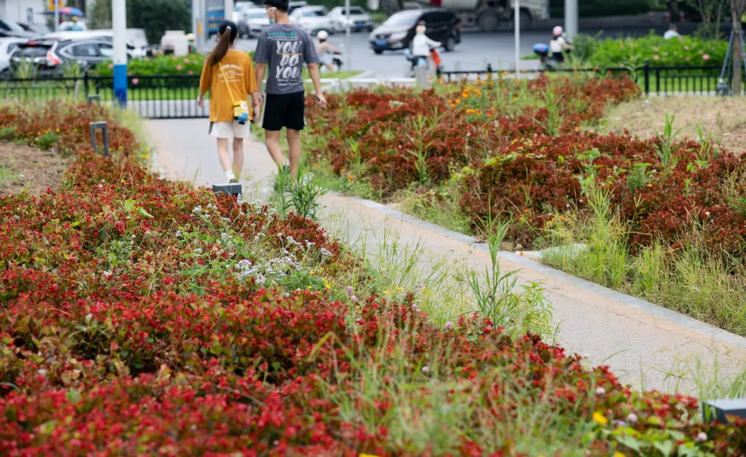 1735797986967676.jpg 1735797973163.jpg