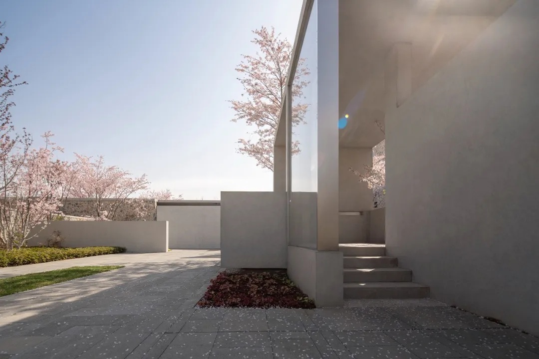 1736151103115395.jpg 1736151088559.jpg