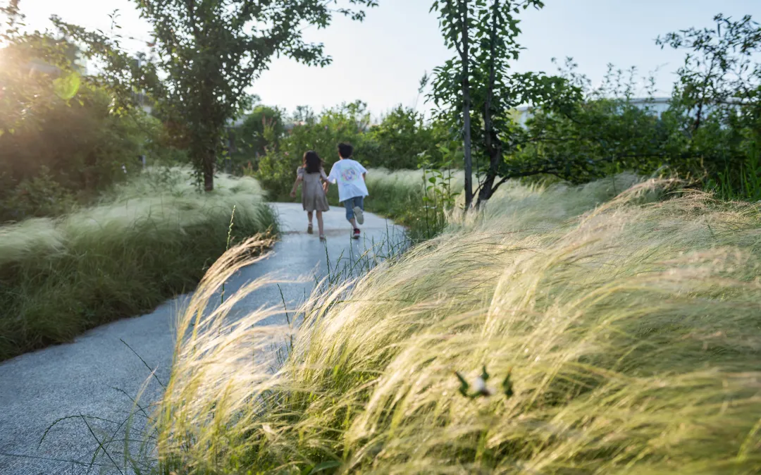 1736151122636033.jpg 1736151112460.jpg