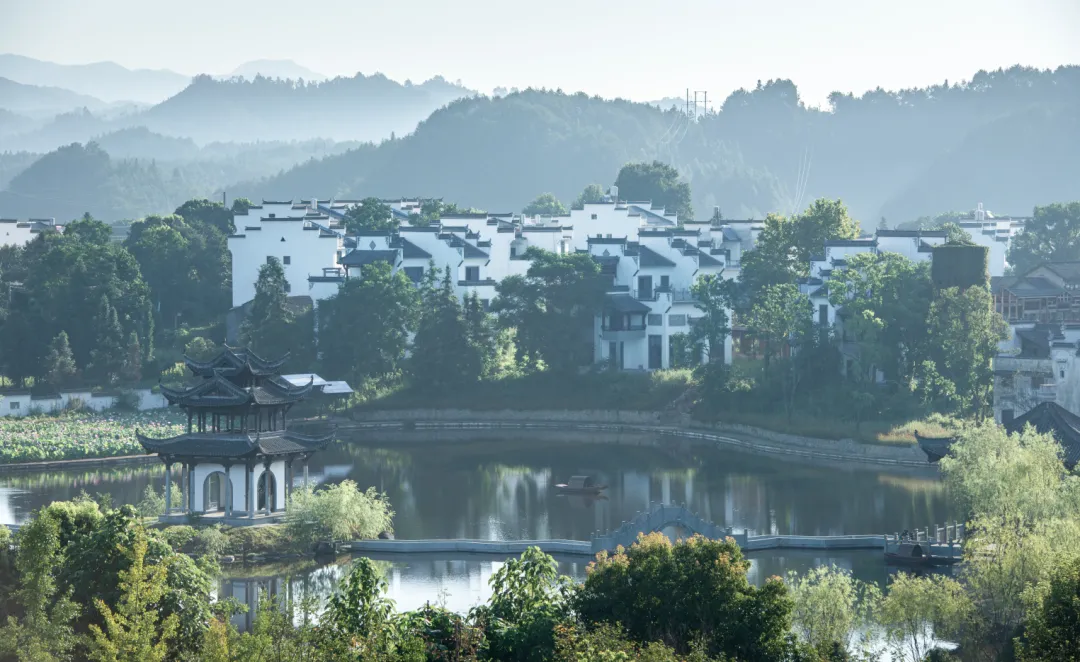 1736157152812898.jpg 1736157112993.jpg