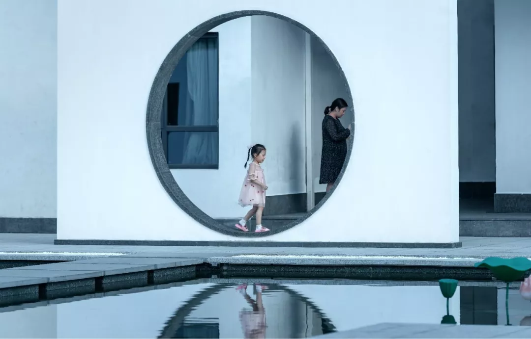 1736157155232761.jpg 1736157114976.jpg