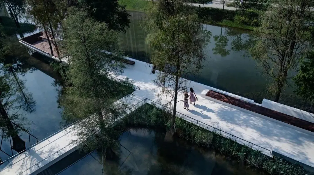 1736161762177201.jpg 1736161752765.jpg