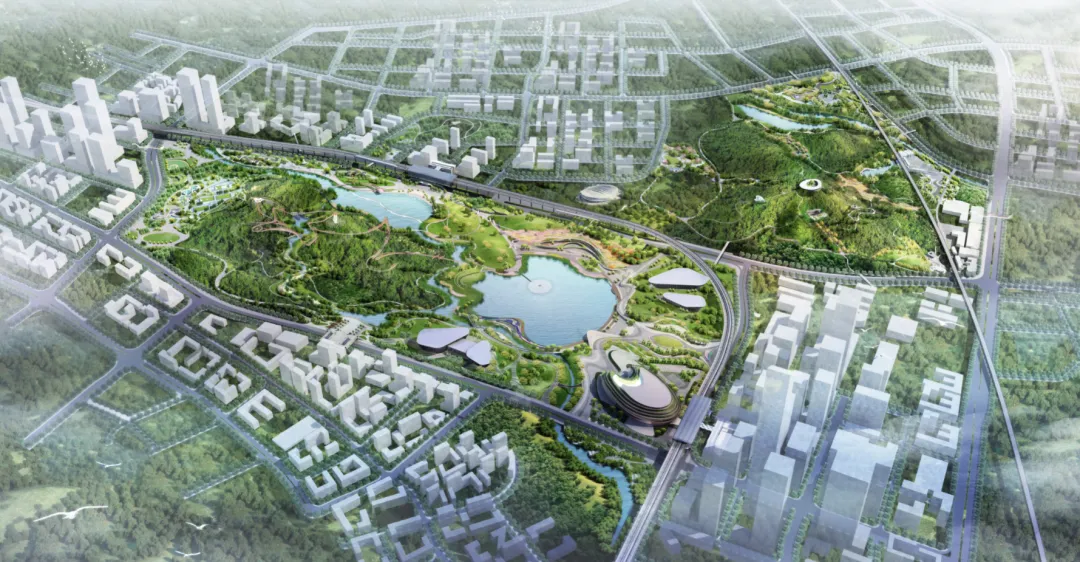 1736161997209996.jpg 1736161977376.jpg